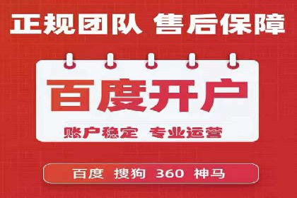 SEM外包策略在电商平台的成功案例
